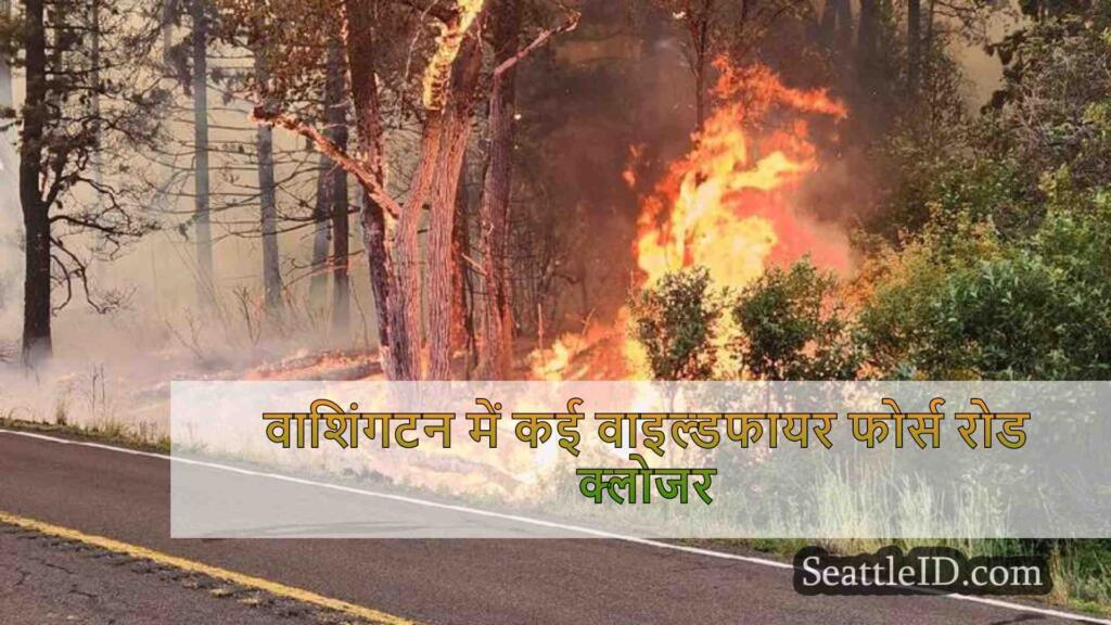 वाशिंगटन में कई वाइल्डफायर फोर्स रोड
