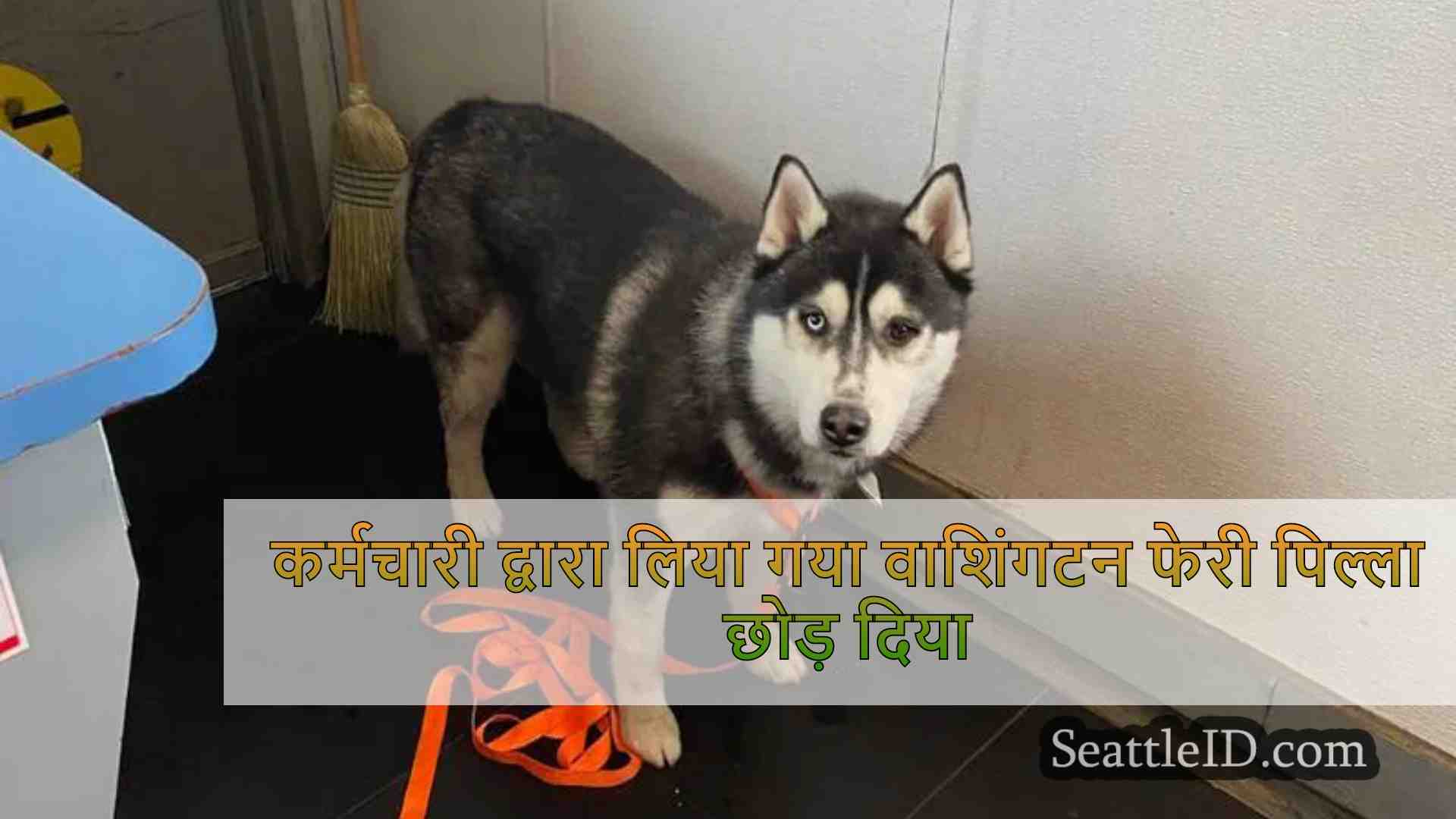 सिएटल समाचार SeattleID