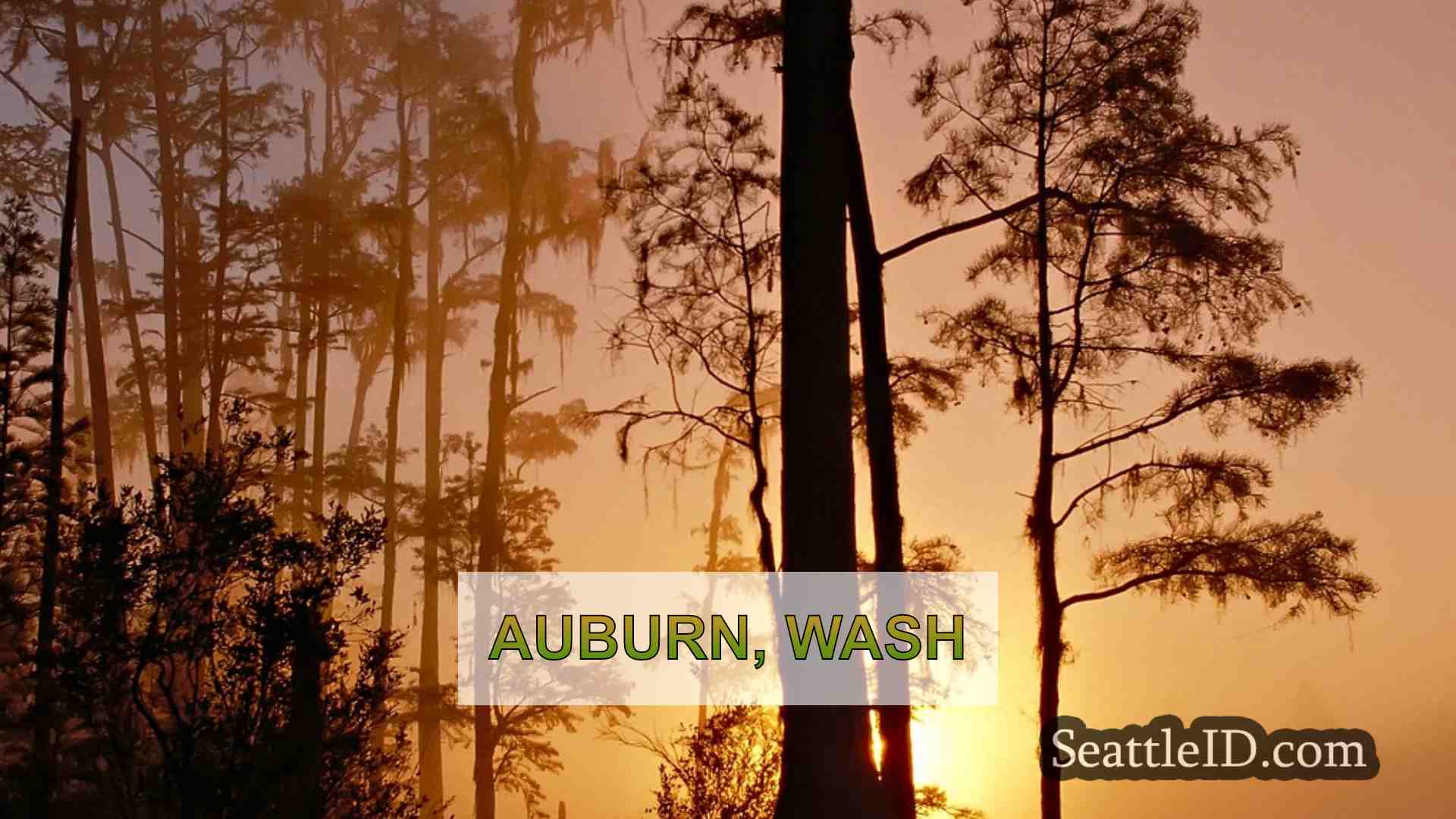 सिएटल समाचार SeattleID