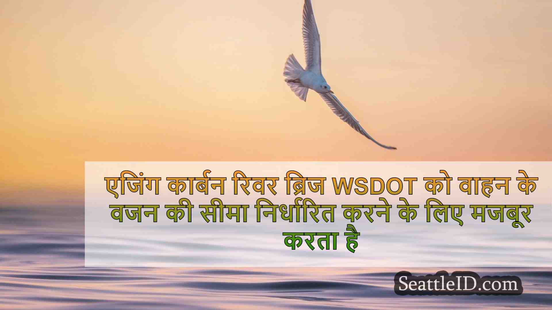 सिएटल समाचार SeattleID