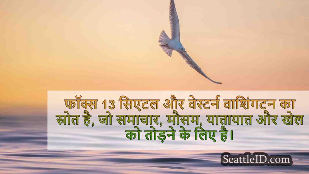 सिएटल के चाइनाटाउन-इंटरनेशनल