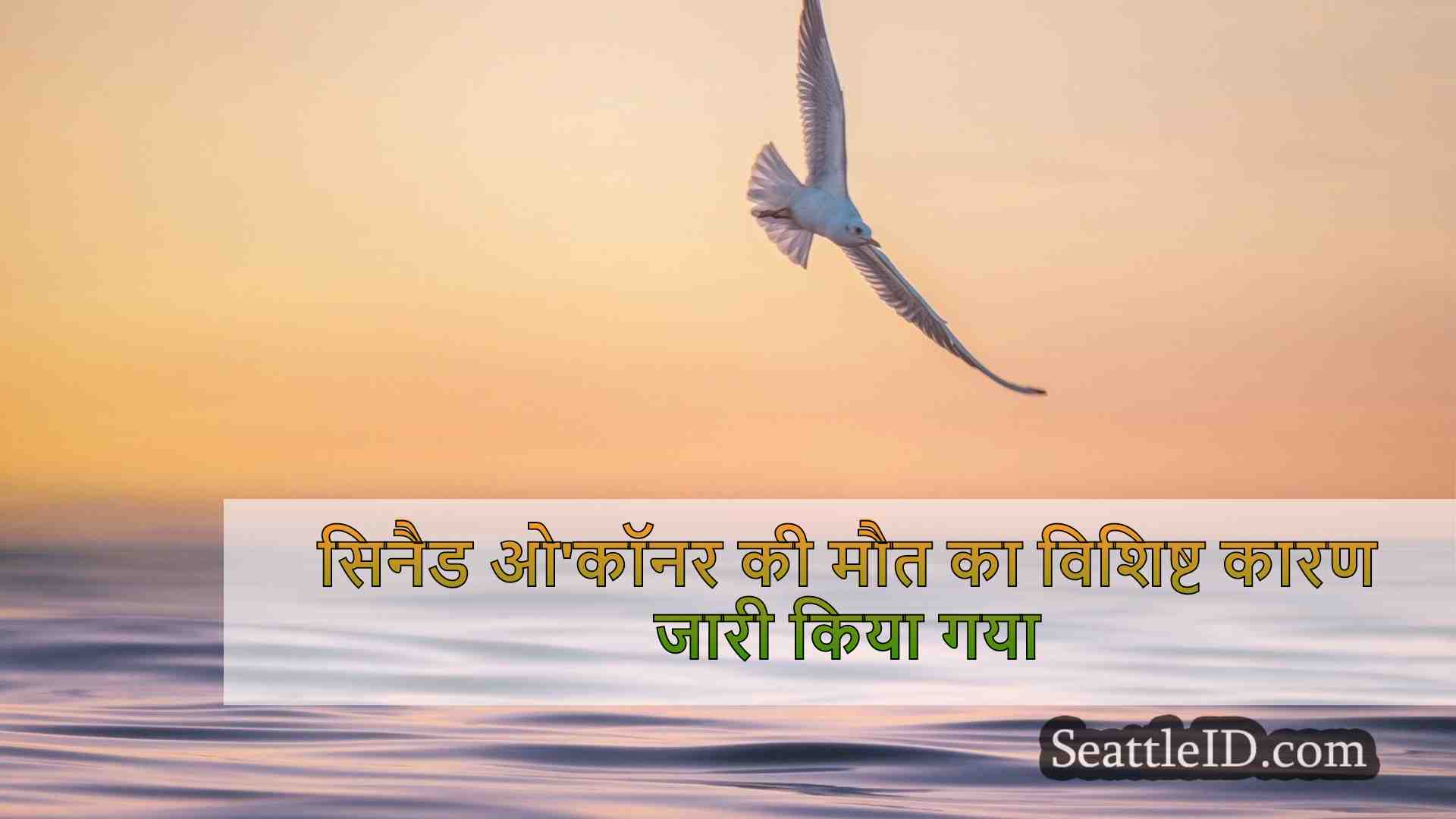 सिएटल समाचार SeattleID
