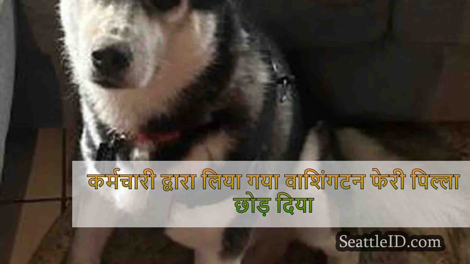 सिएटल समाचार SeattleID