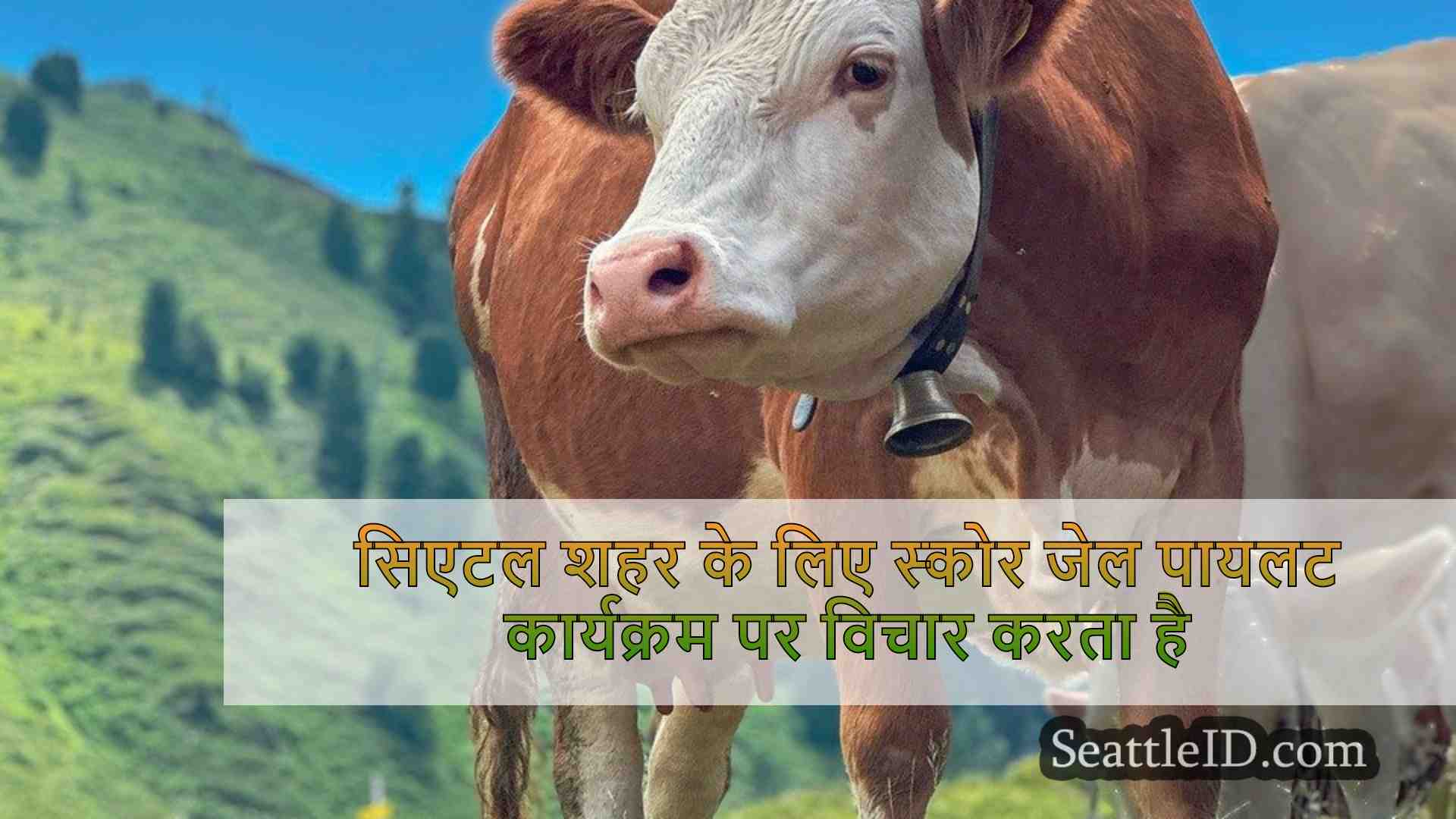 सिएटल समाचार SeattleID