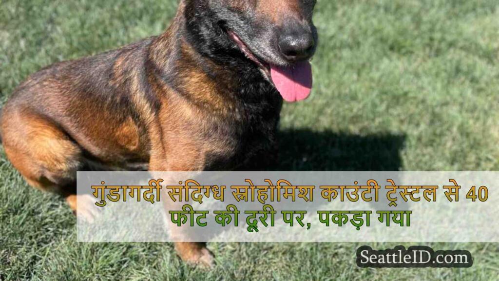 गुंडागर्दी संदिग्ध स्नोहोमिश काउंटी