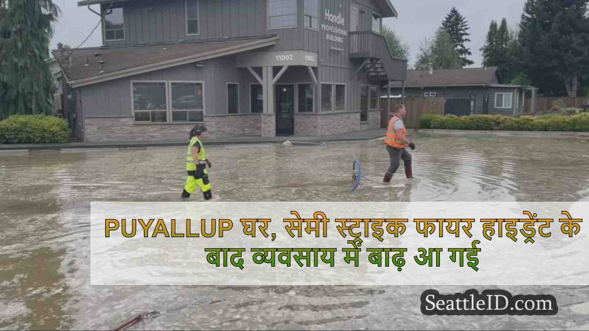 Puyallup घर, सेमी स्ट्राइक फायर