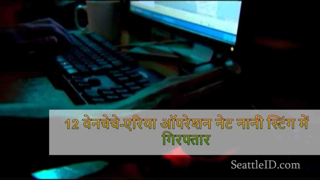12 वेनचेचे-एरिया ऑपरेशन नेट नानी स्टिंग