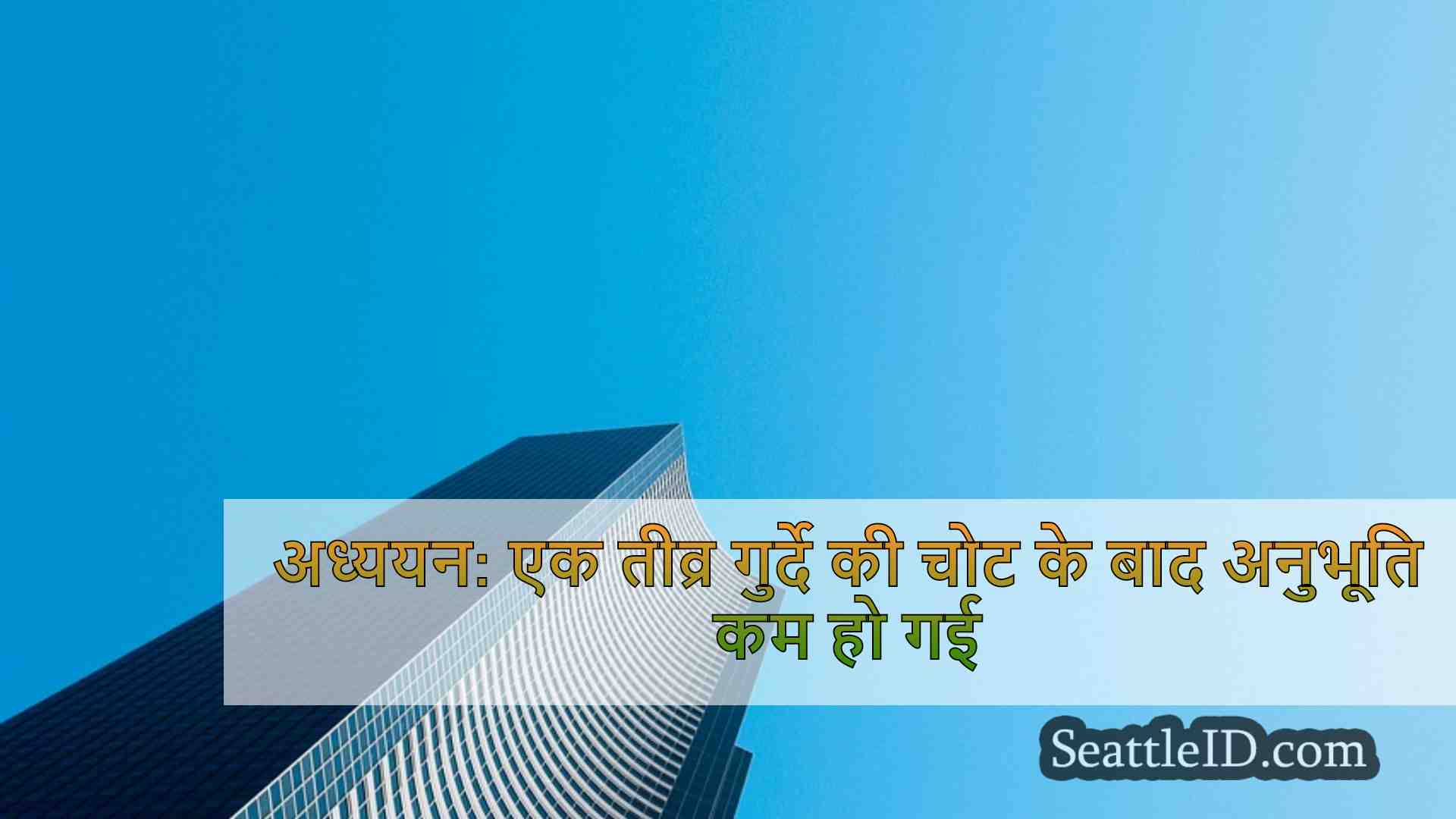 सिएटल समाचार SeattleID
