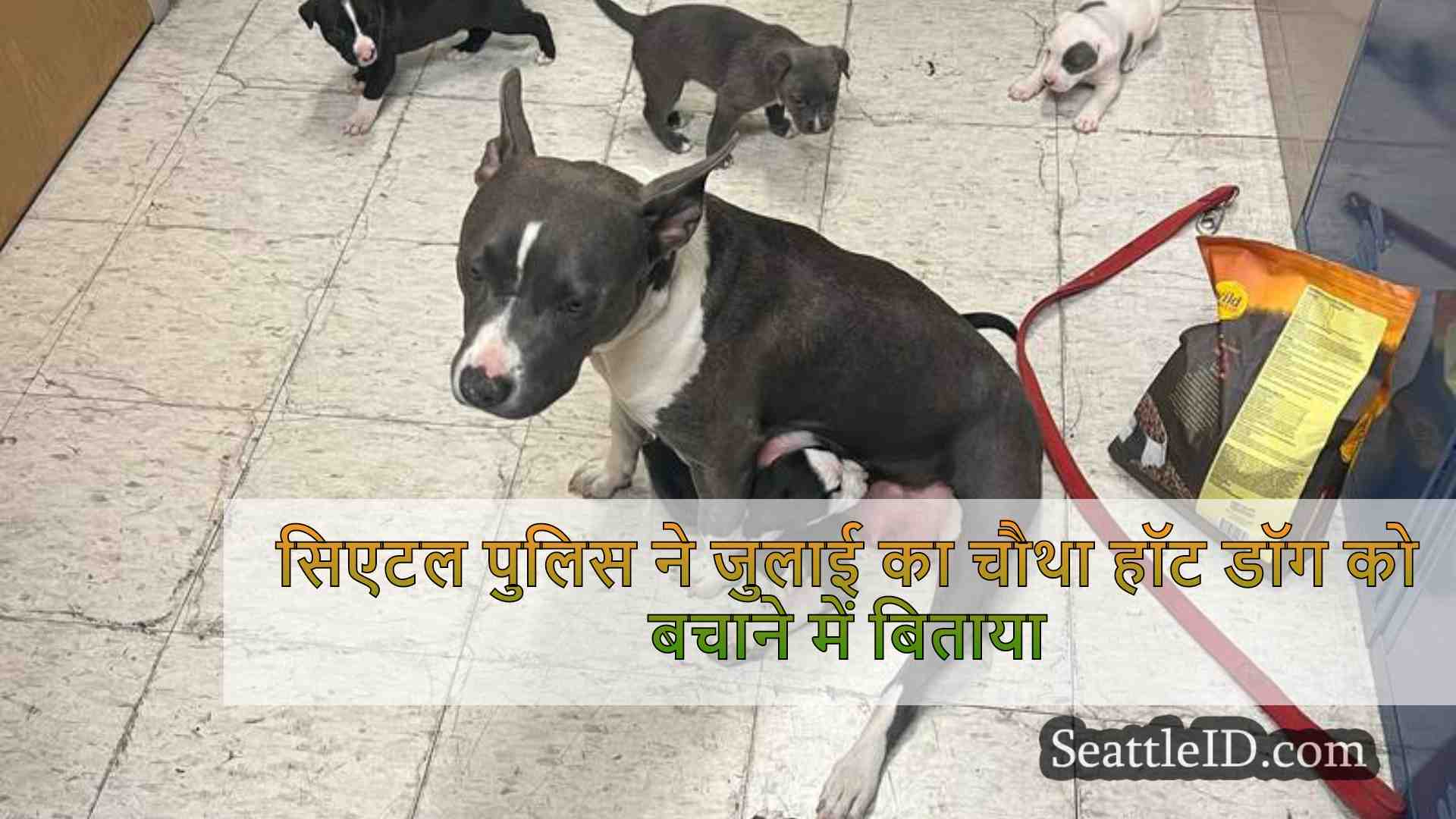 सिएटल समाचार SeattleID