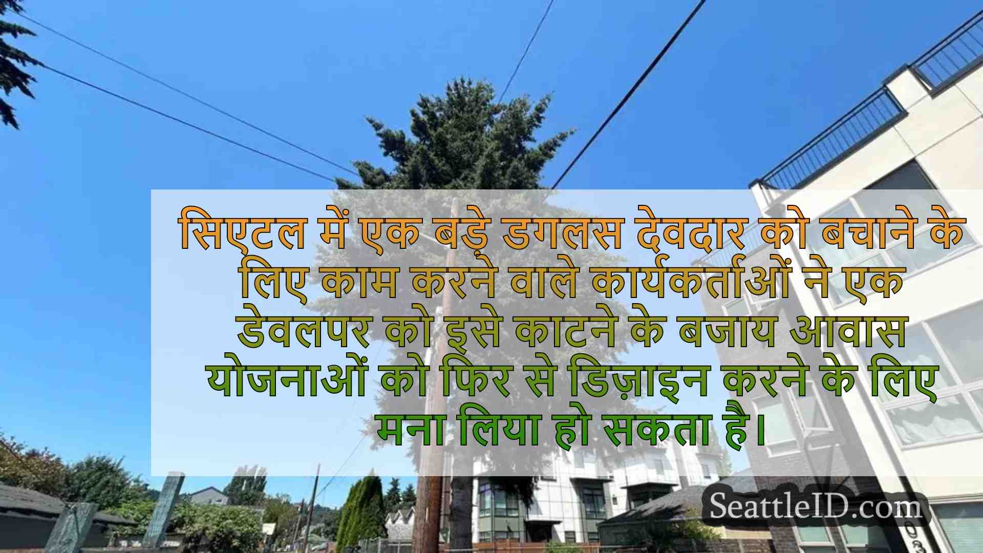 सिएटल डेवलपर स्थानीय डगलस फ़िर को बचाने