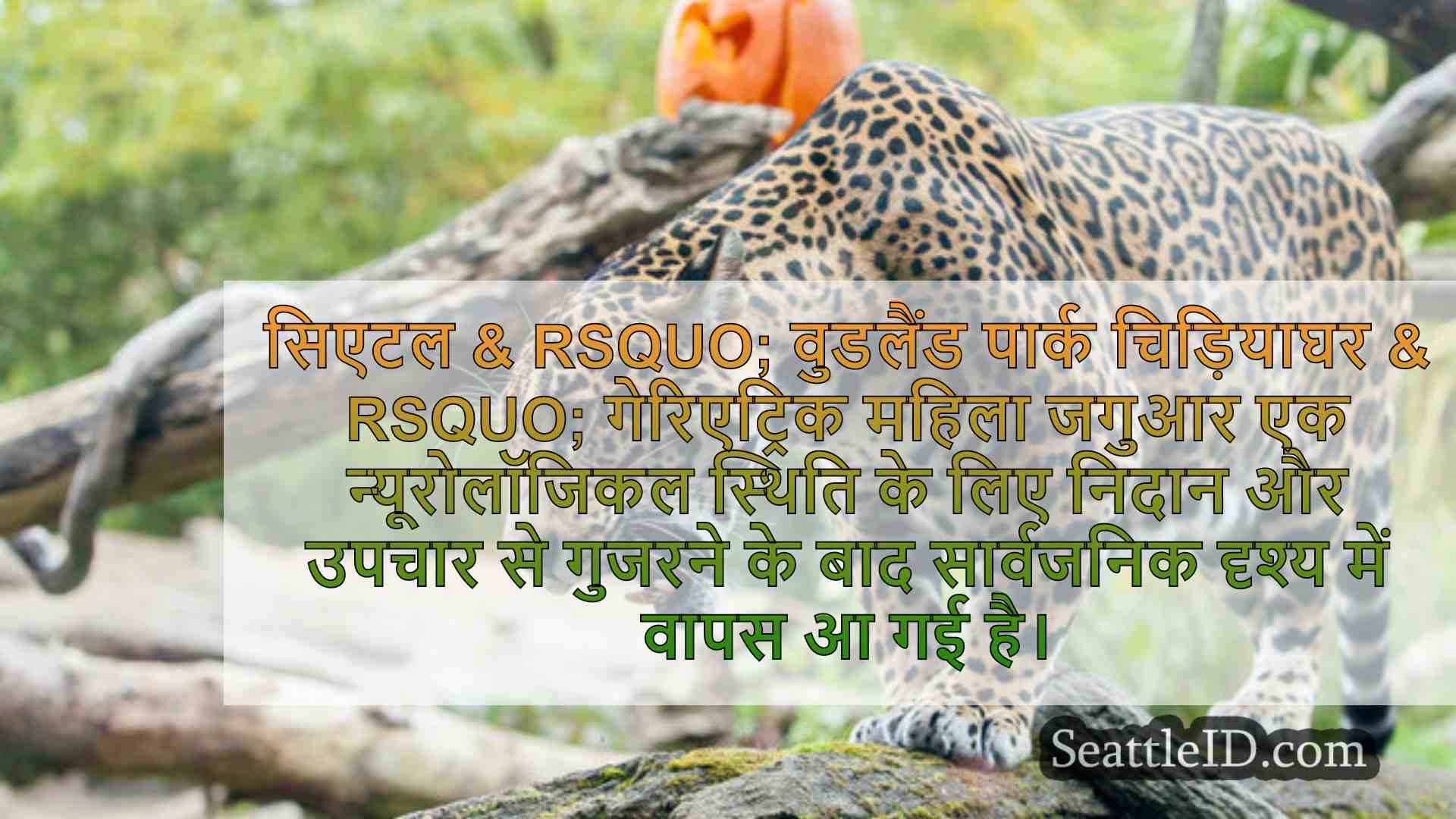 सिएटल समाचार SeattleID
