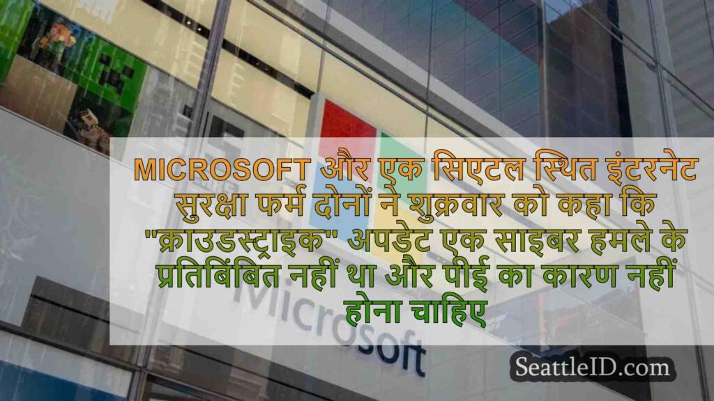 Microsoft, साइबर सुरक्षा विशेषज्ञ