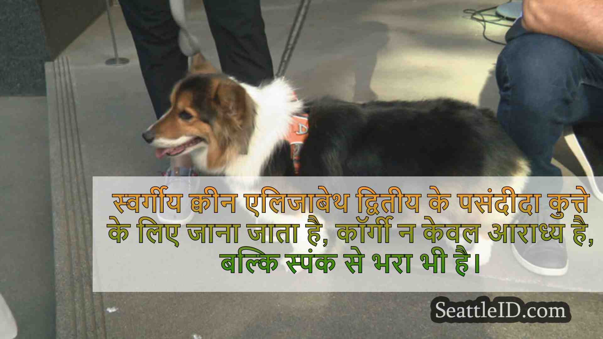 सिएटल समाचार SeattleID