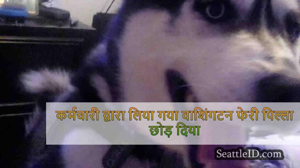 कर्मचारी द्वारा लिया गया वाशिंगटन फेरी
