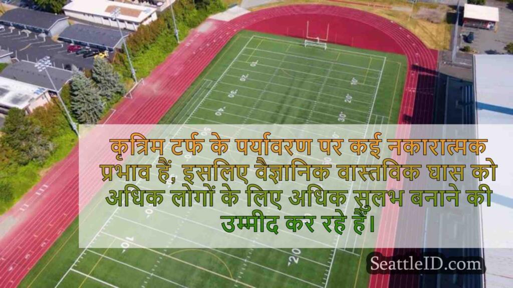डब्ल्यूएसयू शोधकर्ताओं ने वास्तविक घास