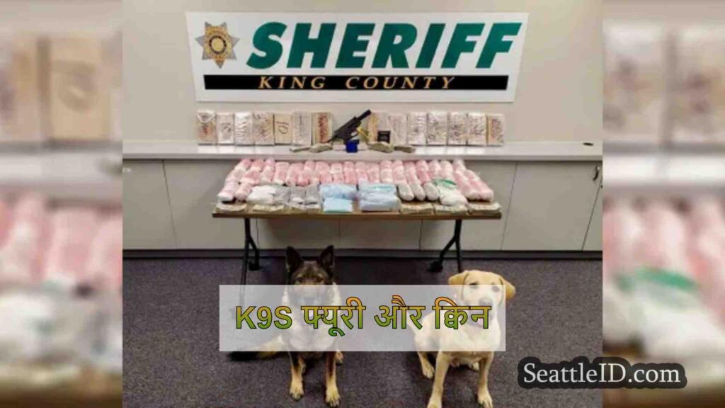 K9S फ्यूरी और क्विन डेस मोइनेस में