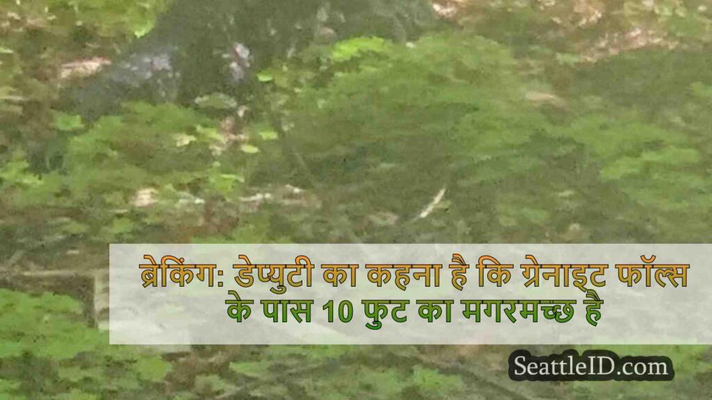 ब्रेकिंग: डेप्युटी का कहना है कि