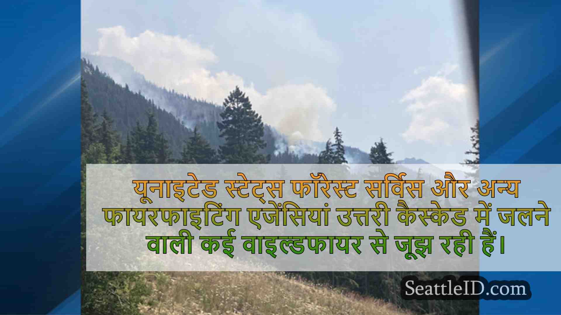 सिएटल समाचार SeattleID