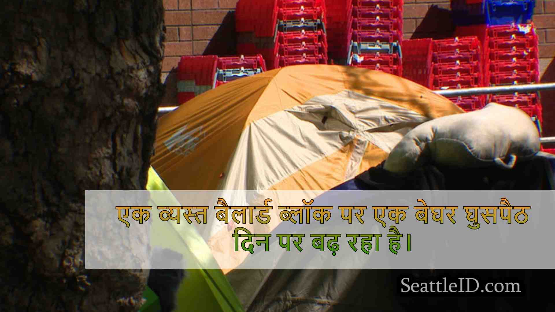 सिएटल समाचार SeattleID