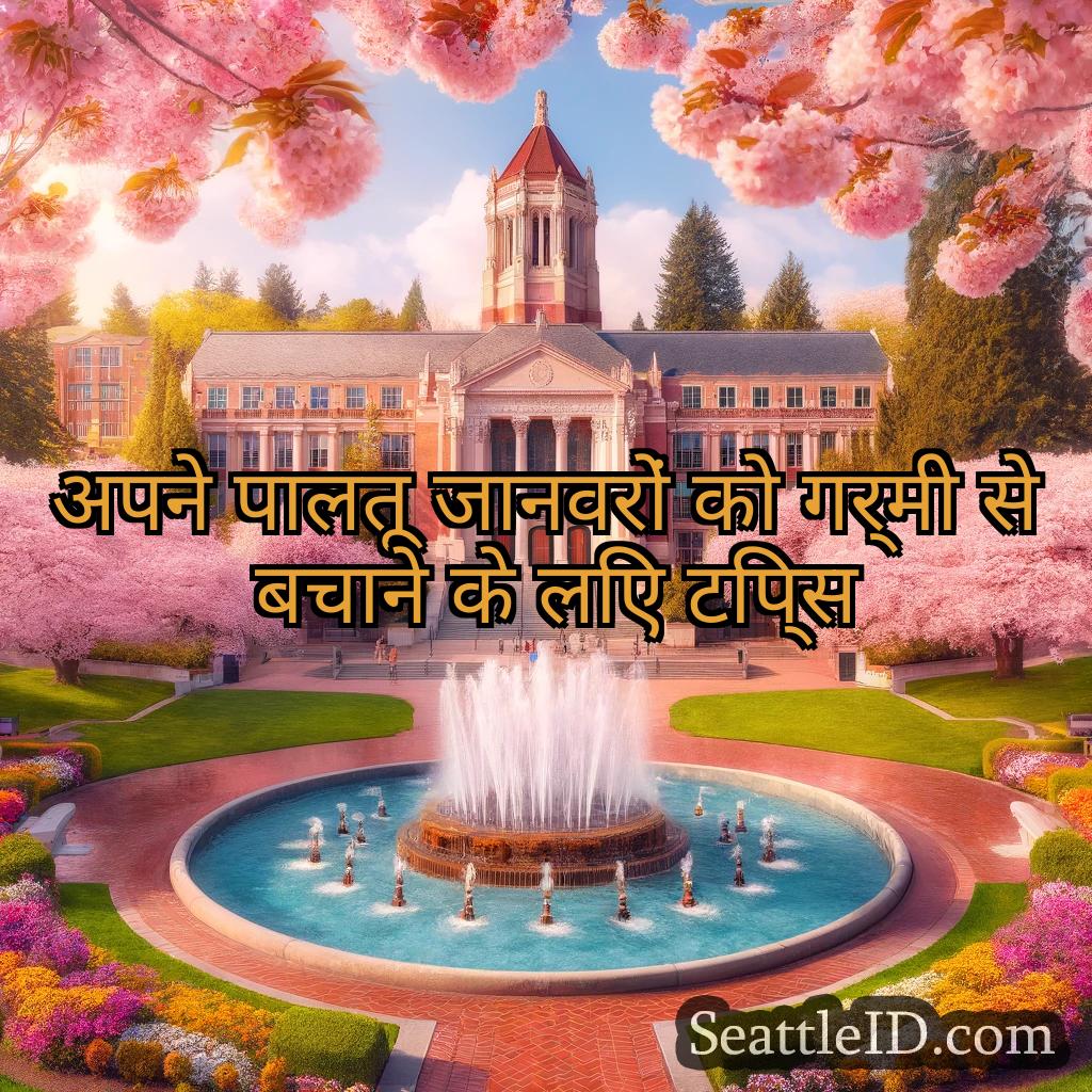 सिएटल समाचार अपने पालतू जानवरों को गर्मी से