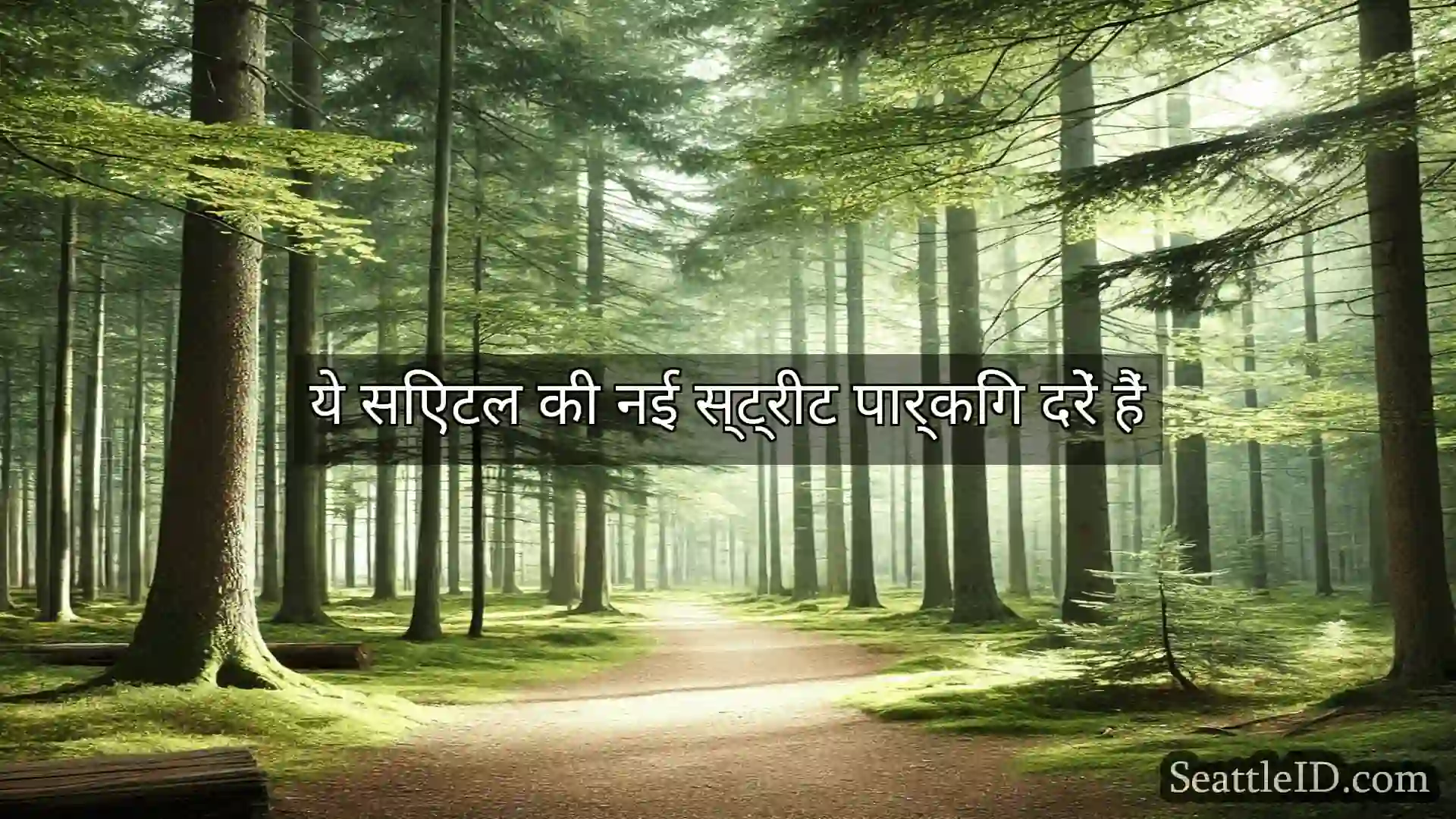 सिएटल समाचार ये सिएटल की नई स्ट्रीट पार्किंग