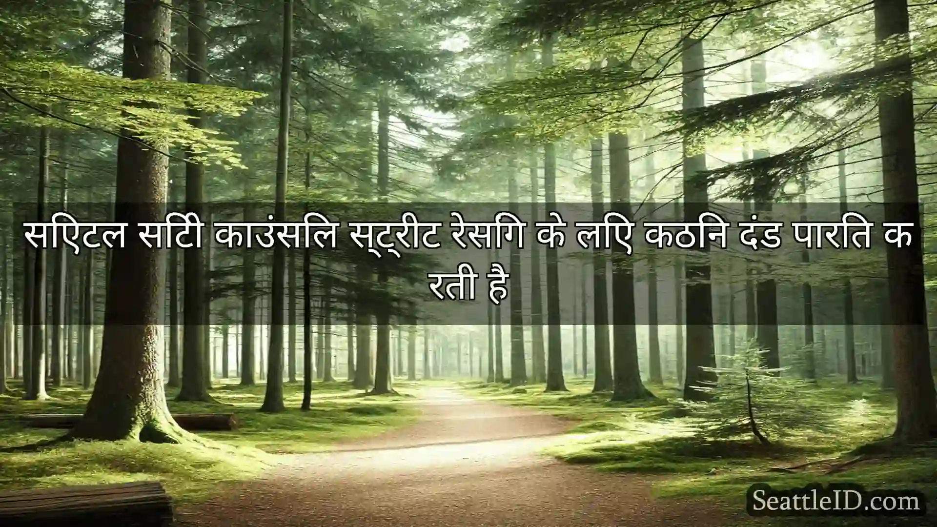 सिएटल समाचार सिएटल सिटी काउंसिल स्ट्रीट रेसिंग