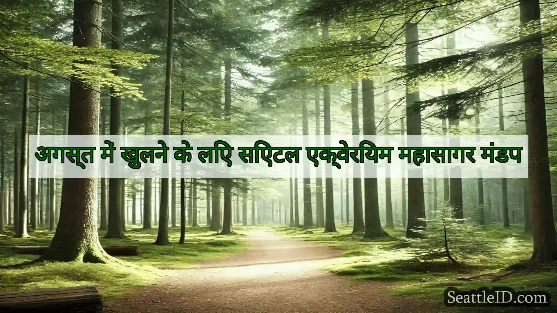 सिएटल समाचार अगस्त में खुलने के लिए सिएटल