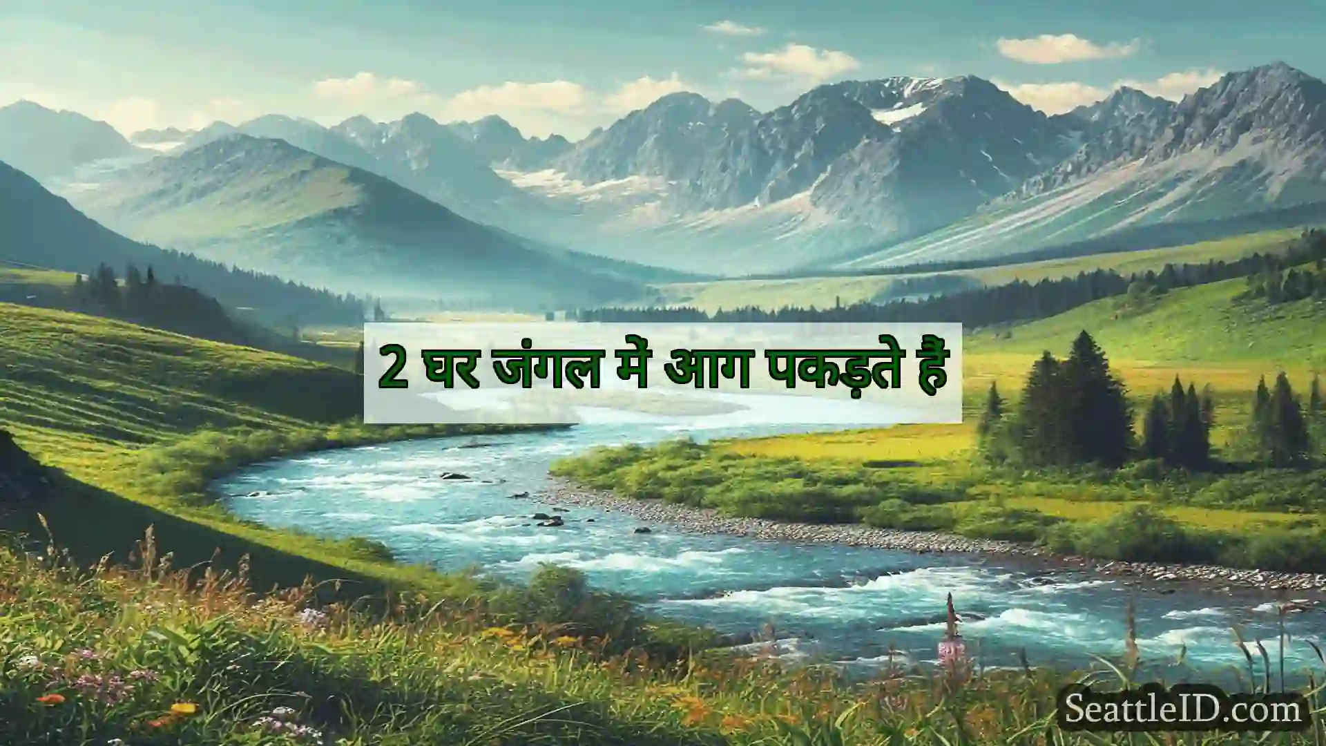सिएटल समाचार 2 घर जंगल में आग पकड़ते हैं