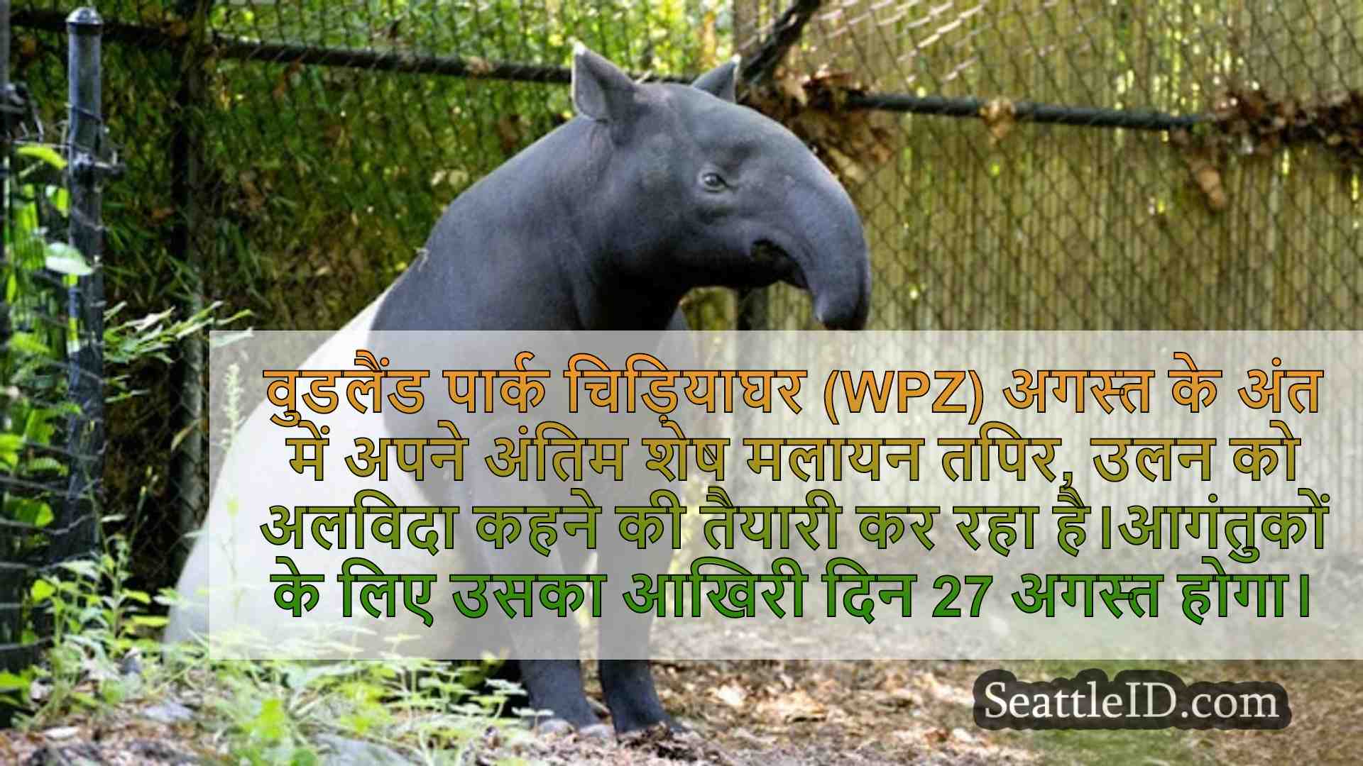 वुडलैंड पार्क चिड़ियाघर, इस अगस्त में,