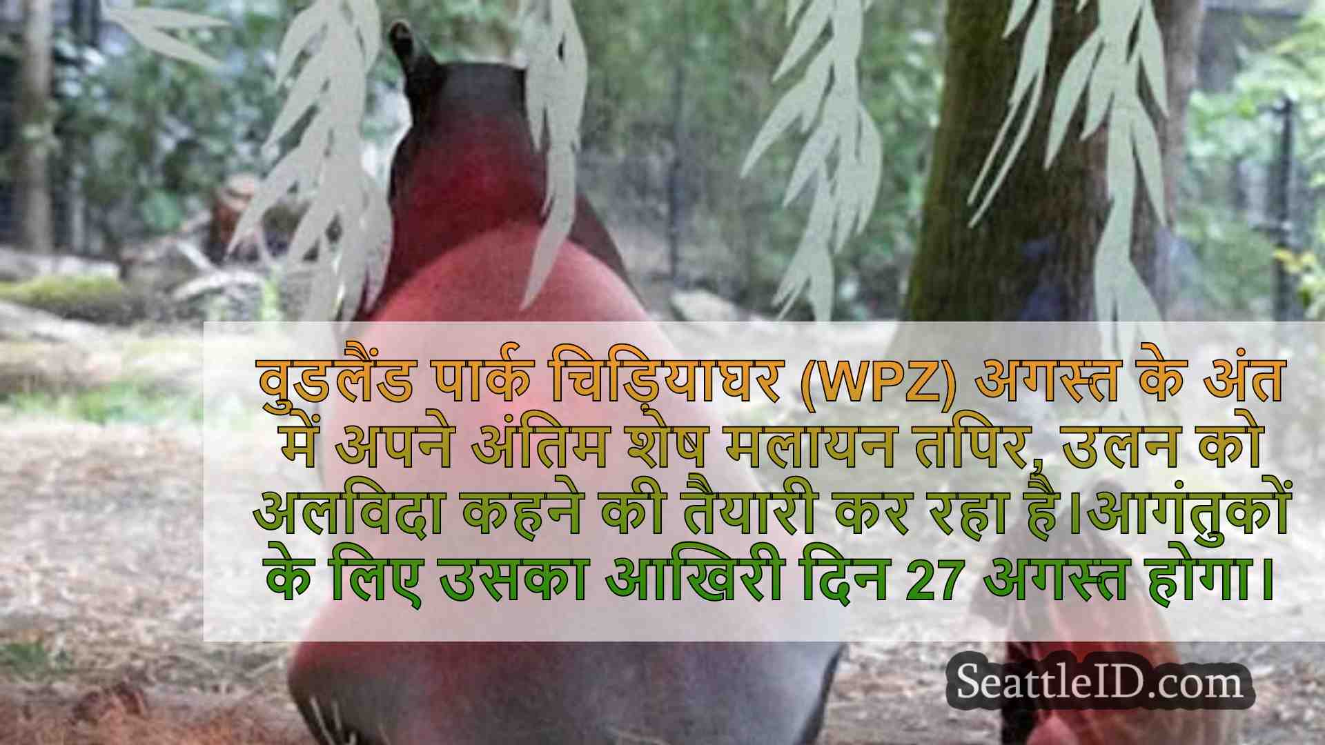 सिएटल समाचार SeattleID
