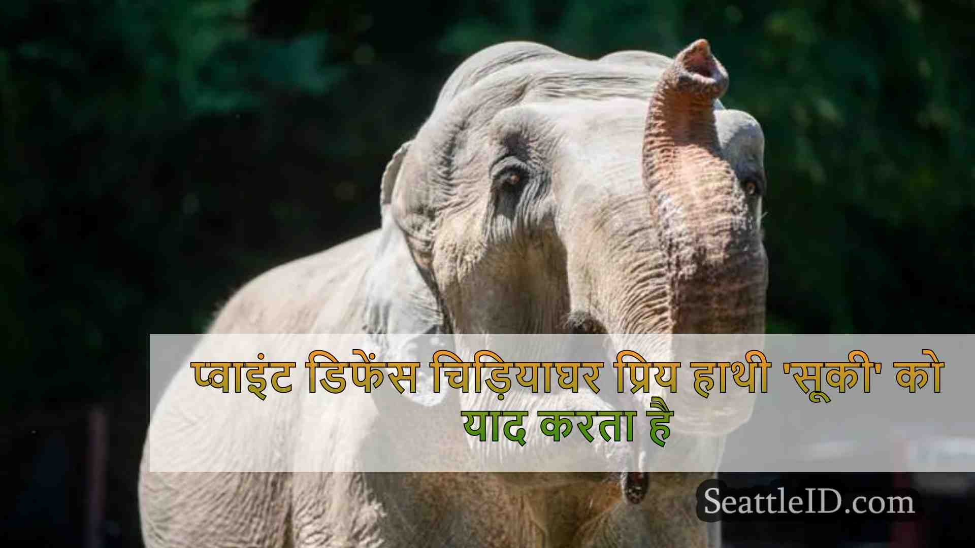 प्वाइंट डिफेंस चिड़ियाघर प्रिय हाथी
