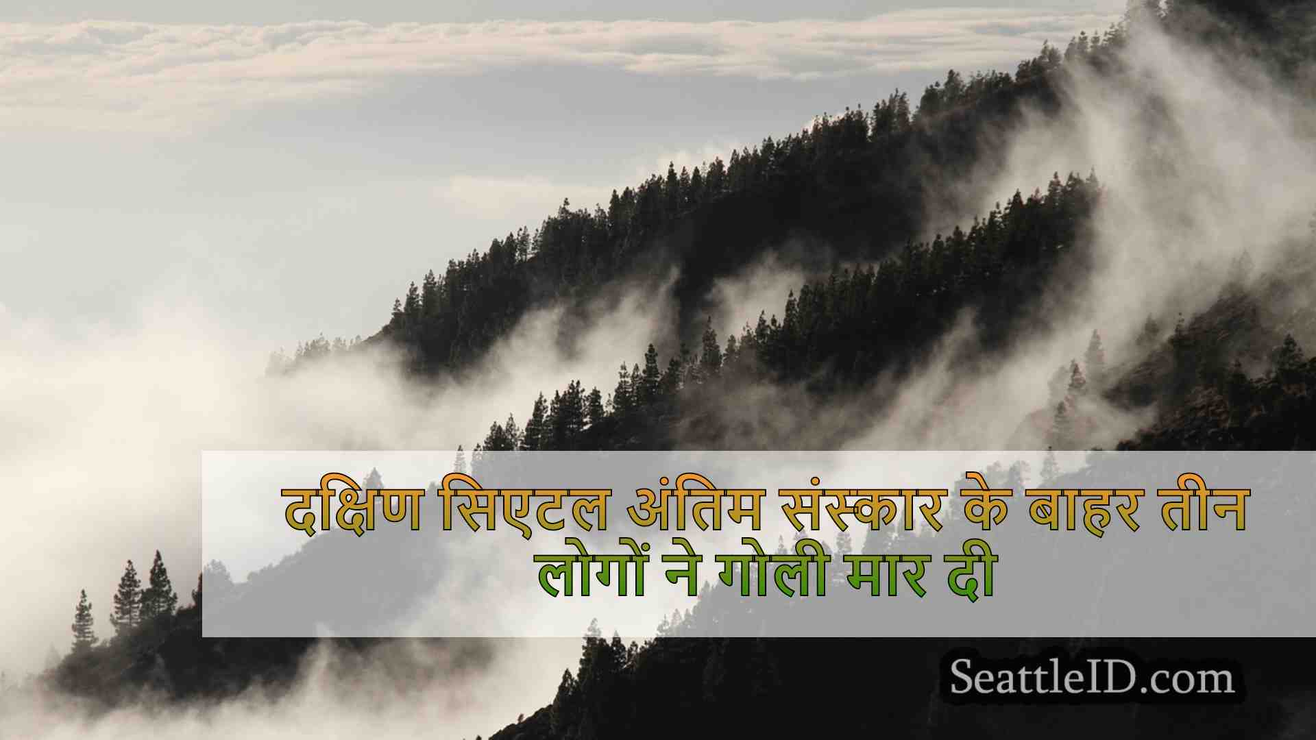 सिएटल समाचार SeattleID