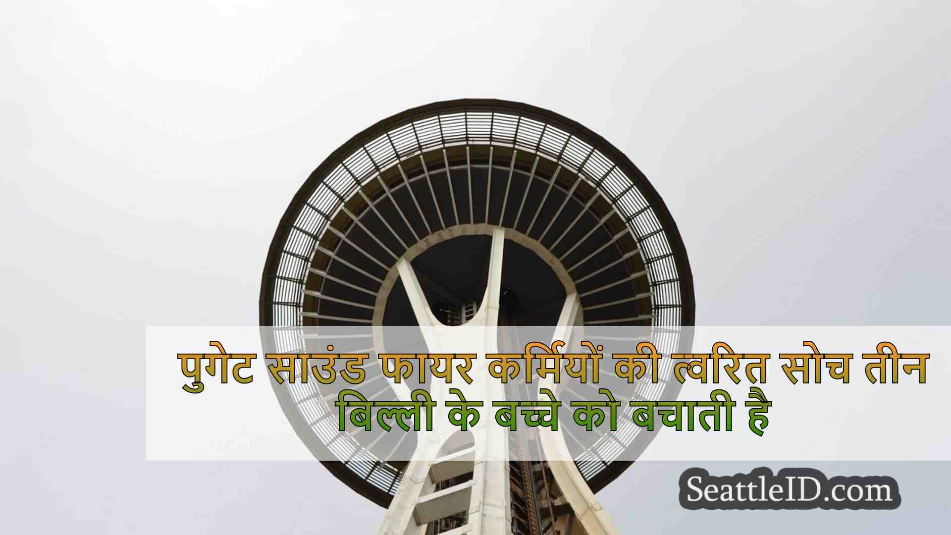 सिएटल समाचार SeattleID