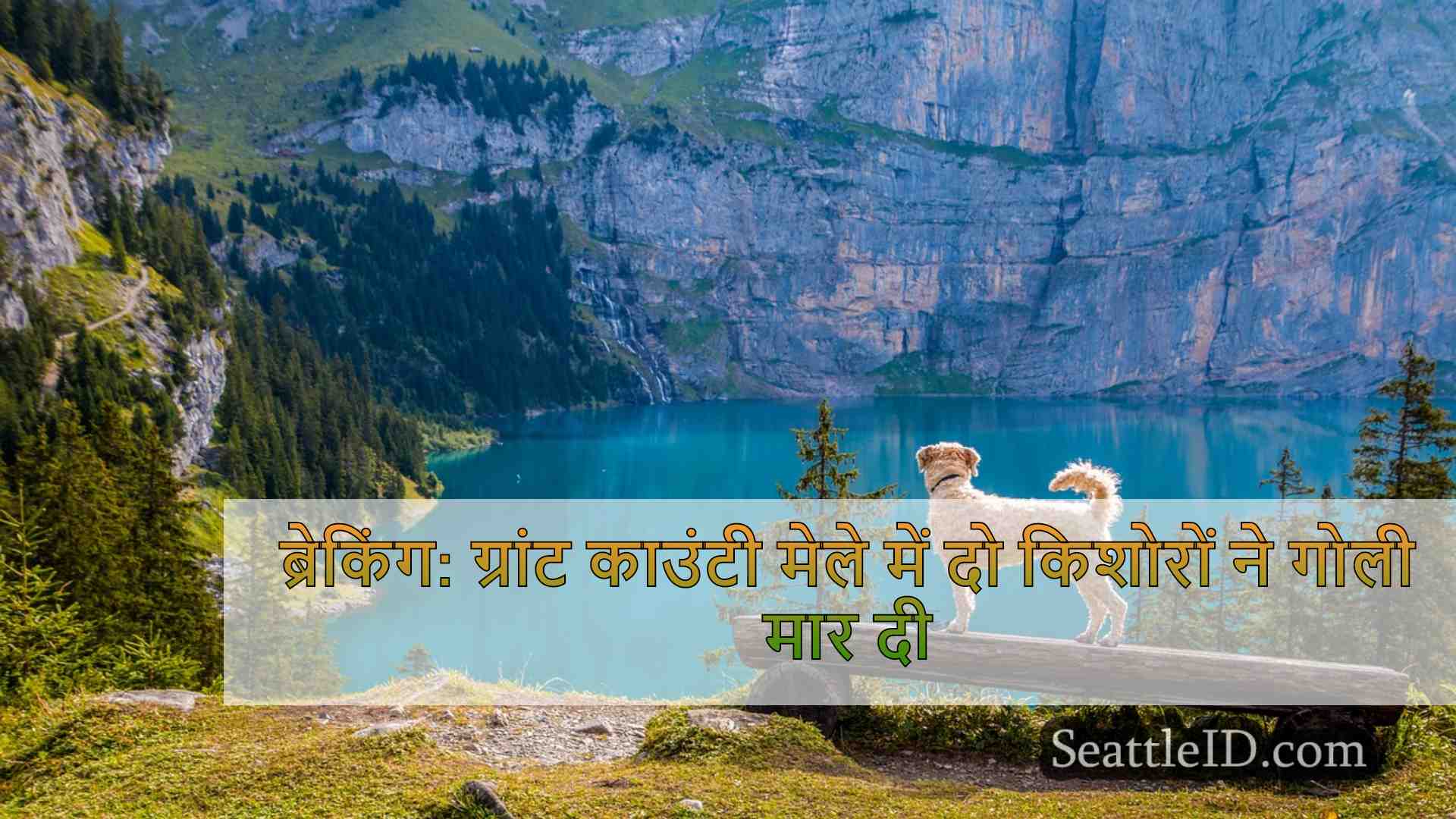 सिएटल समाचार SeattleID