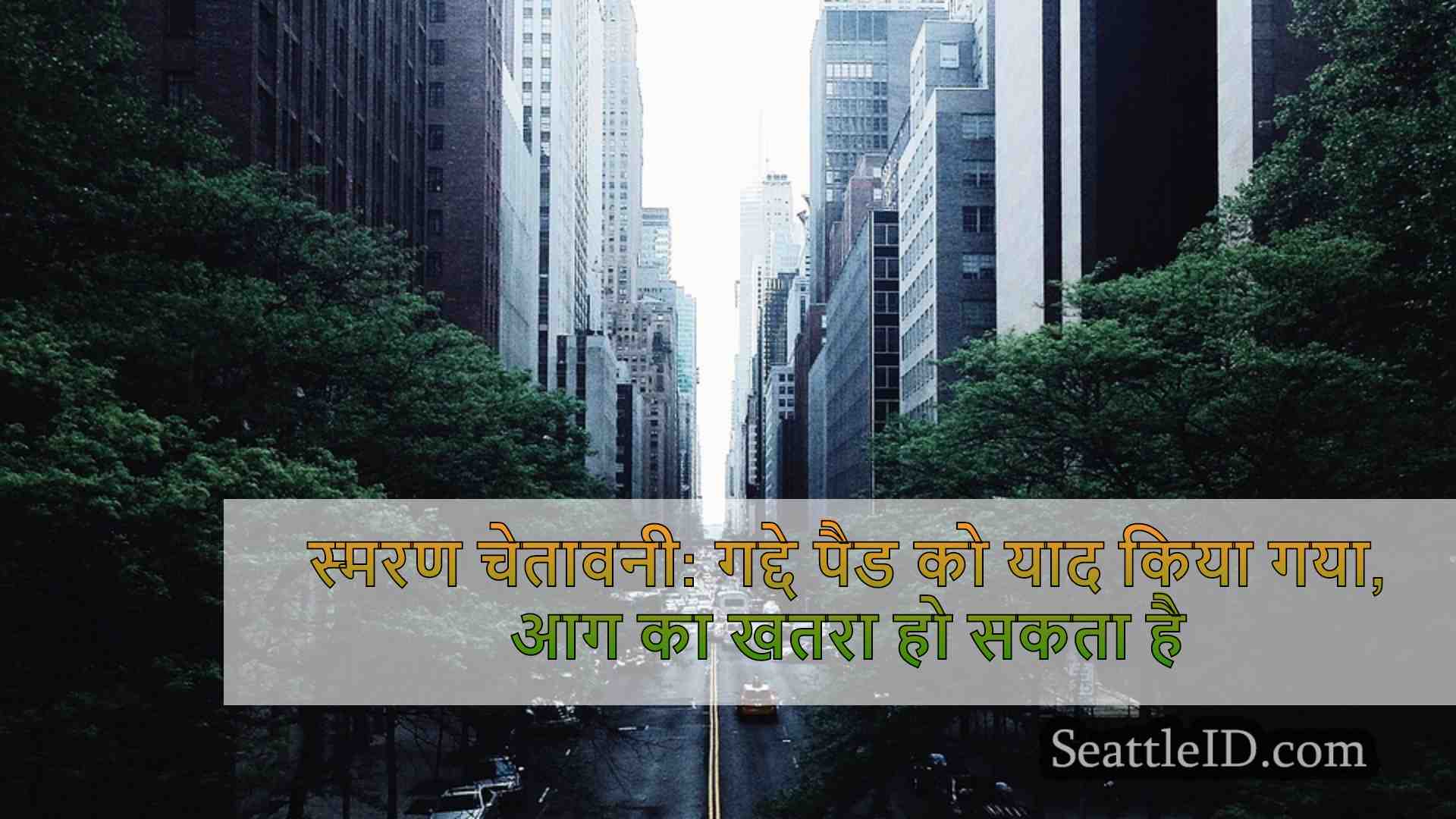 सिएटल समाचार SeattleID