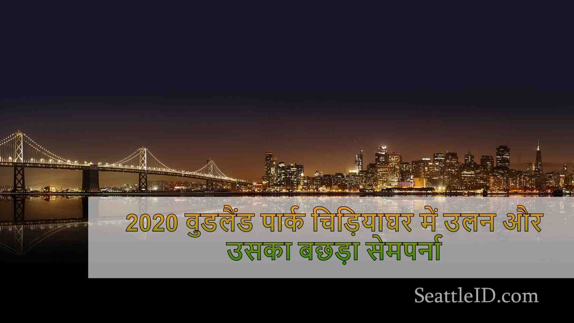 सिएटल समाचार SeattleID