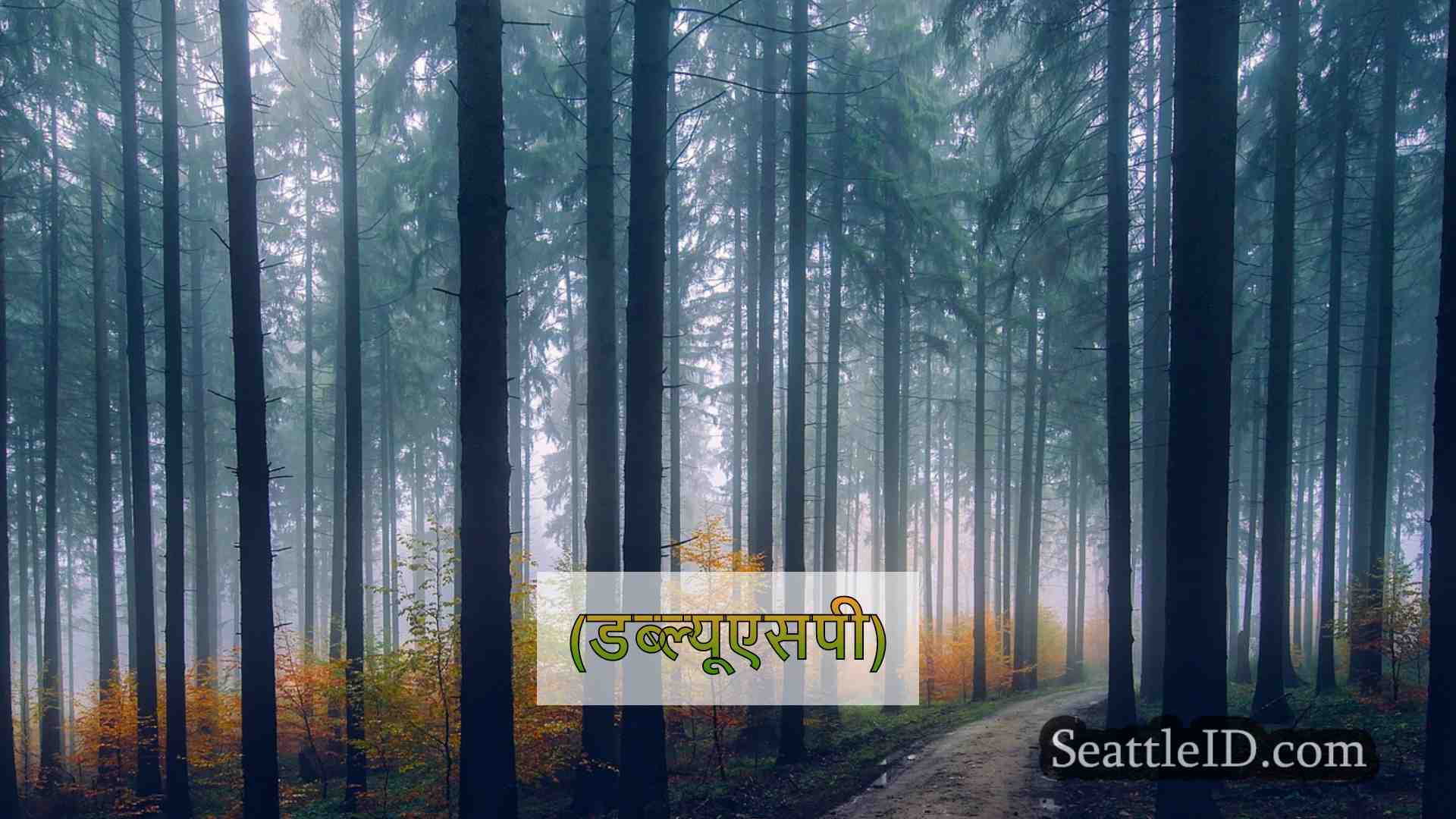 सिएटल समाचार SeattleID