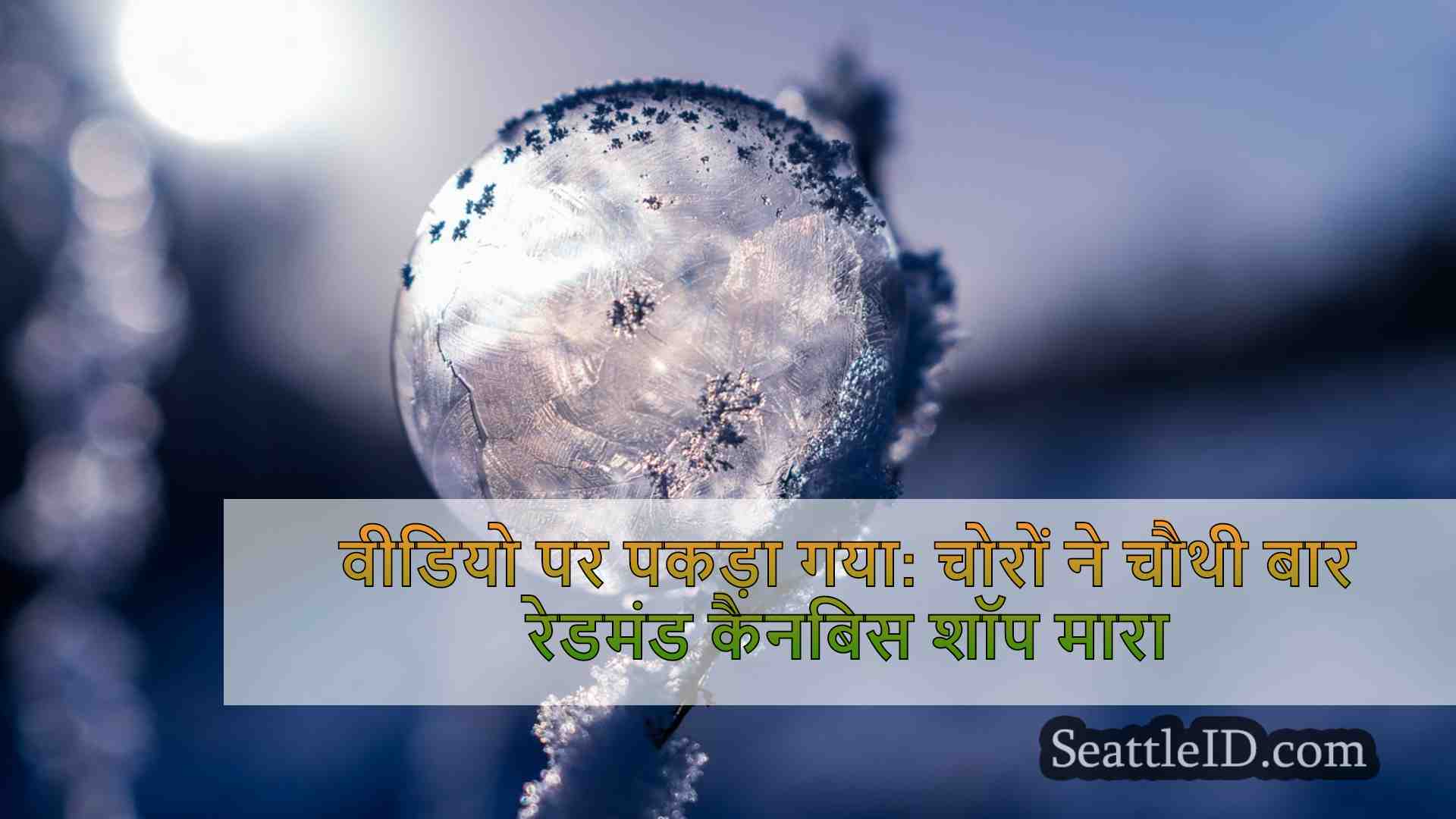 सिएटल समाचार SeattleID