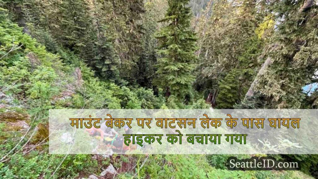 माउंट बेकर पर वाटसन लेक के पास घायल