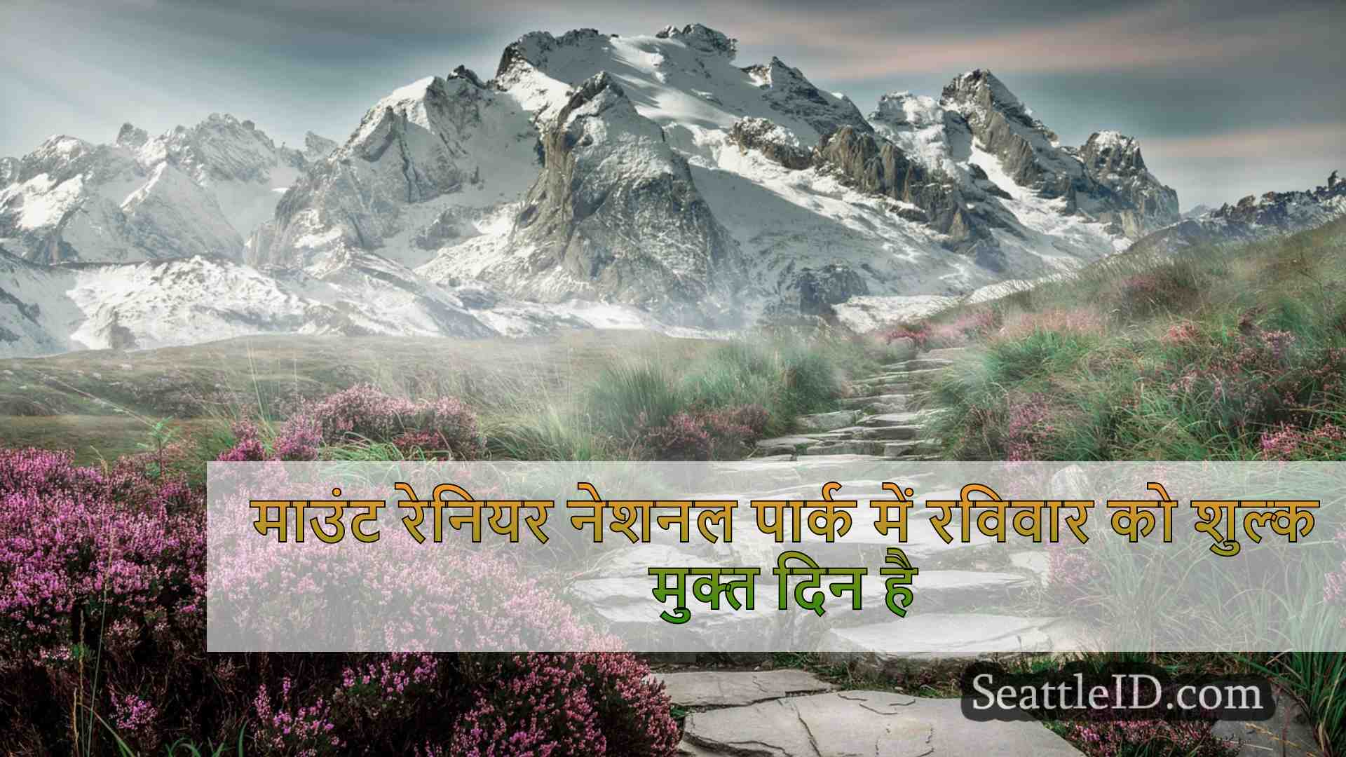 सिएटल समाचार SeattleID