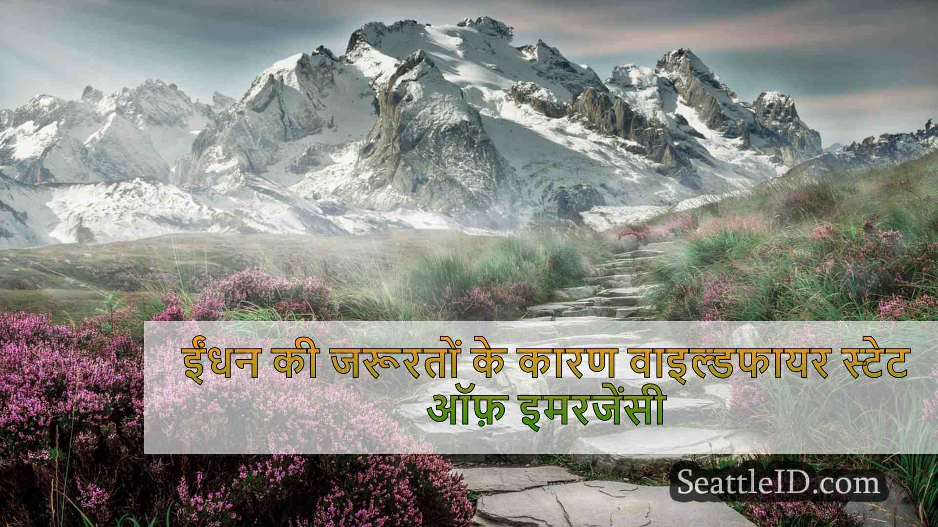 सिएटल समाचार SeattleID