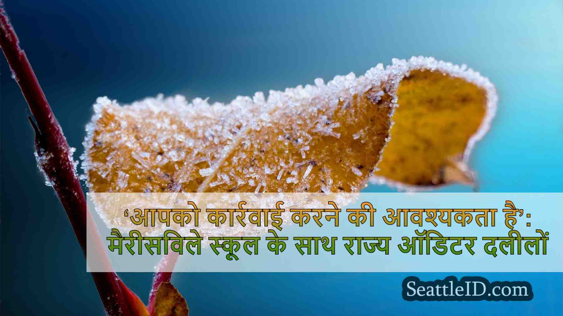 सिएटल समाचार SeattleID
