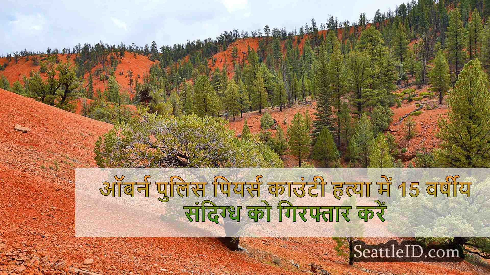 सिएटल समाचार SeattleID