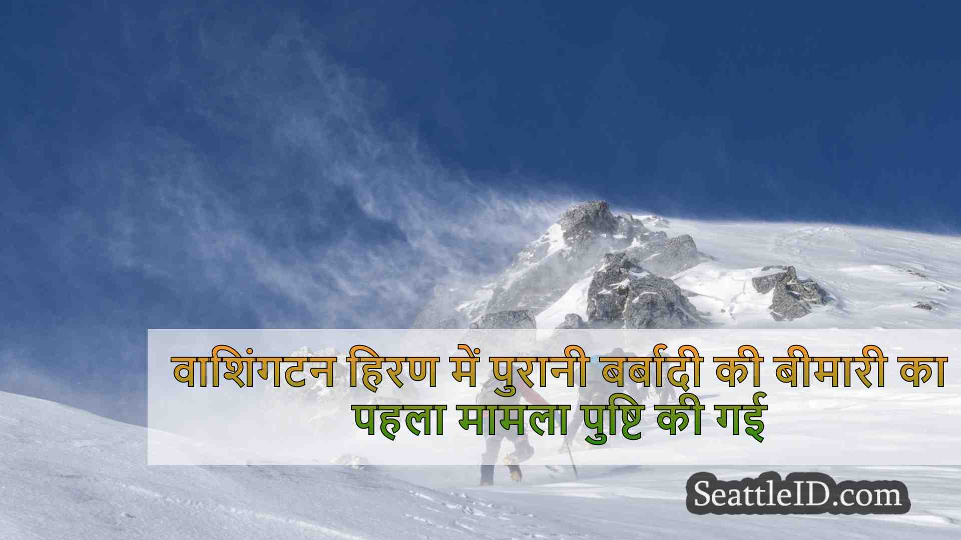 सिएटल समाचार SeattleID