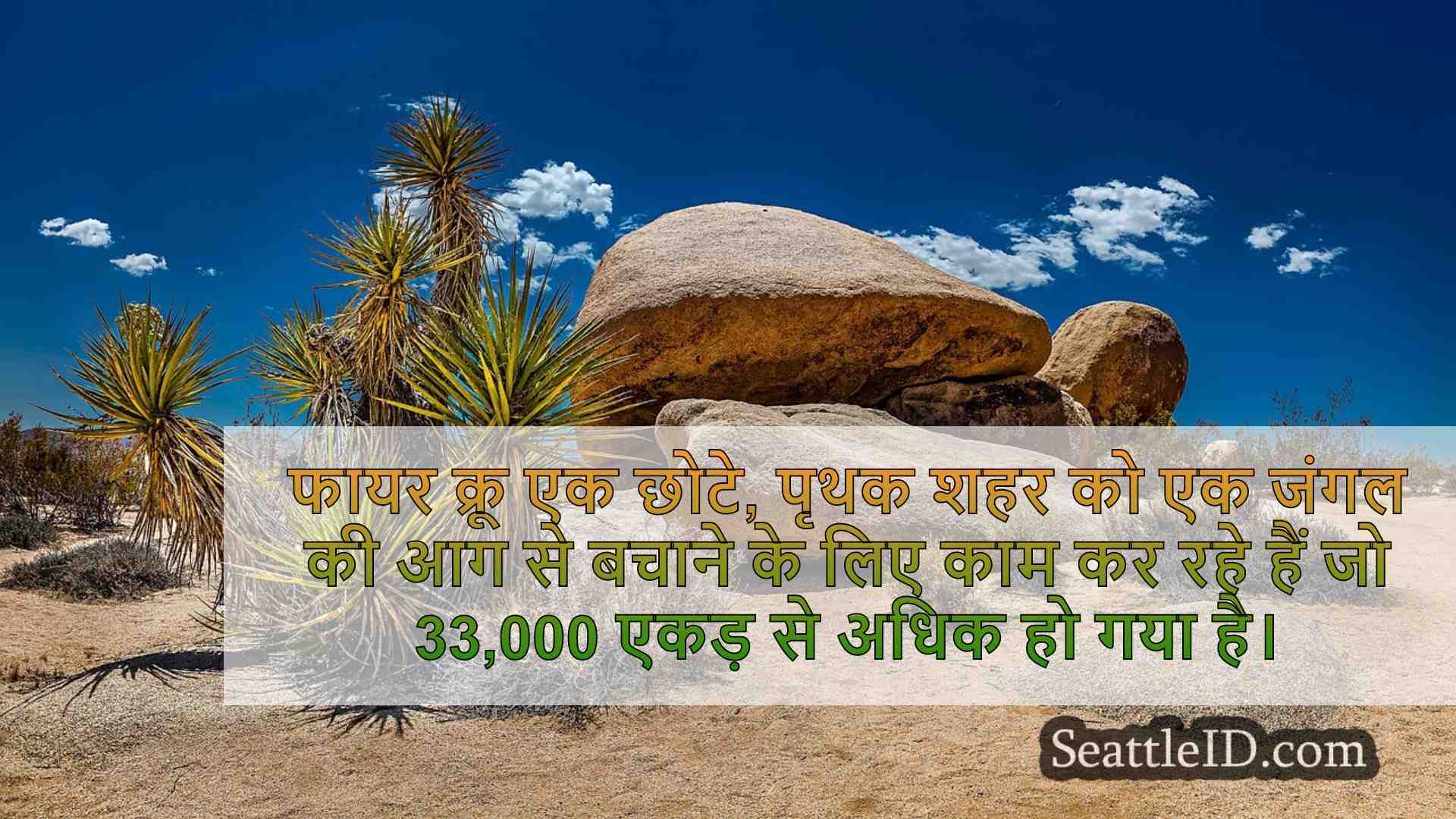 सिएटल समाचार SeattleID