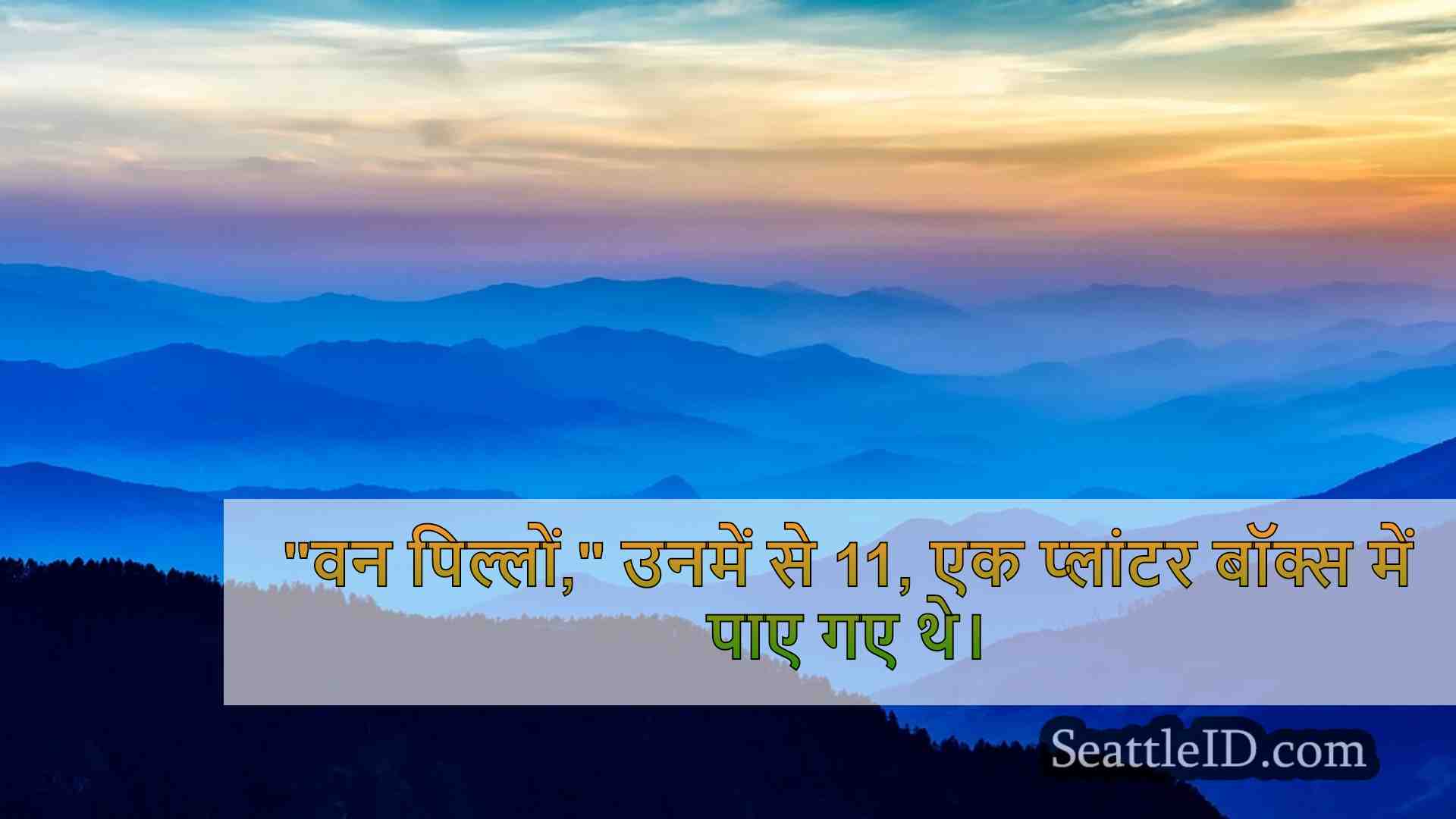 सिएटल समाचार SeattleID