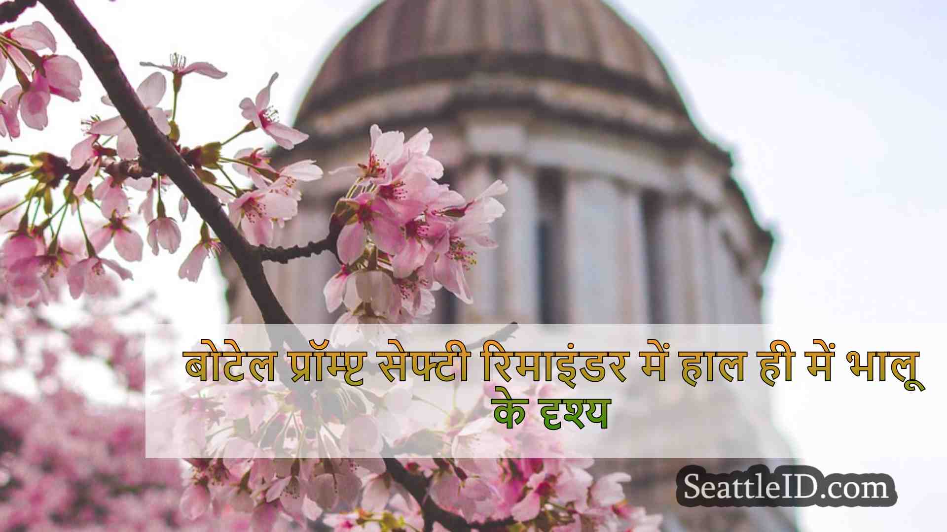सिएटल समाचार SeattleID
