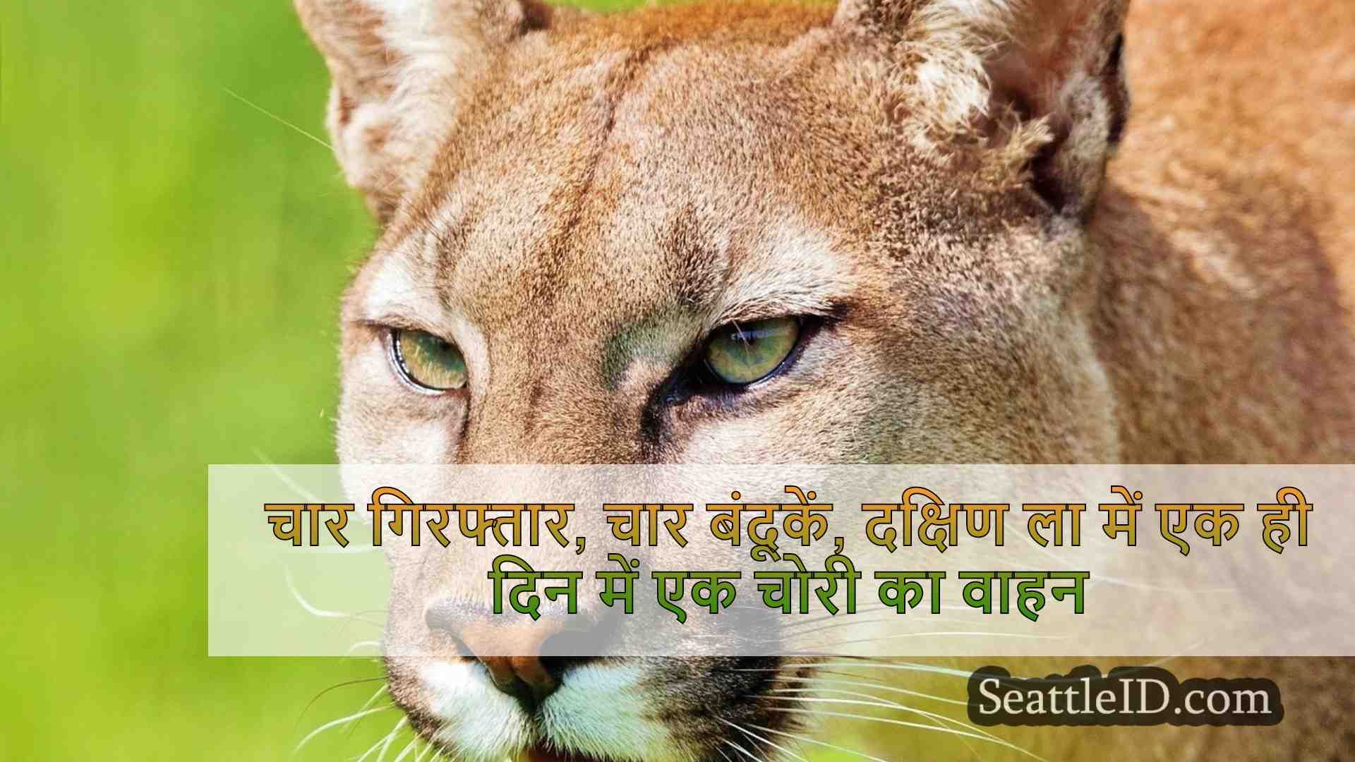 सिएटल समाचार SeattleID