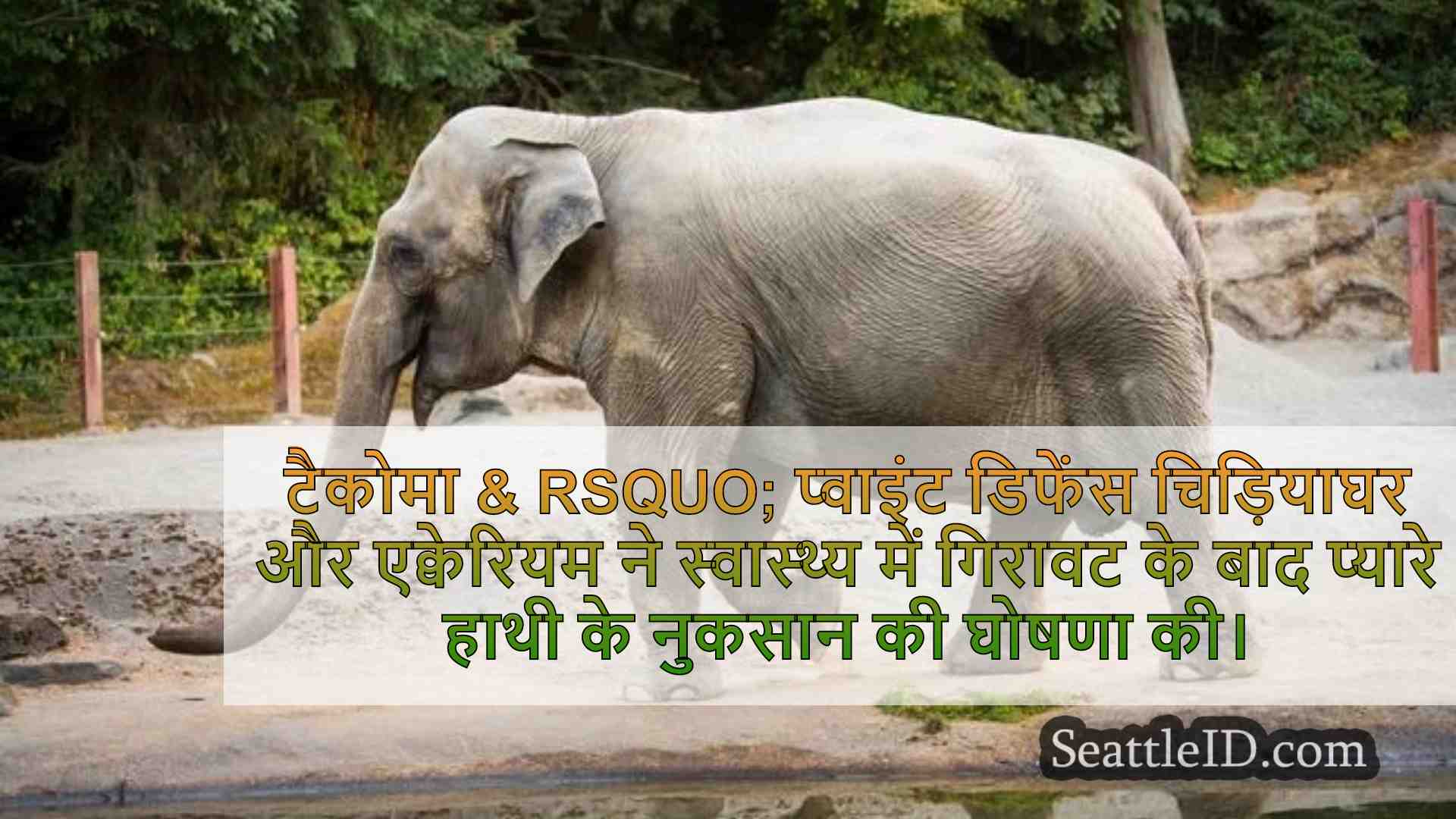 सिएटल समाचार SeattleID