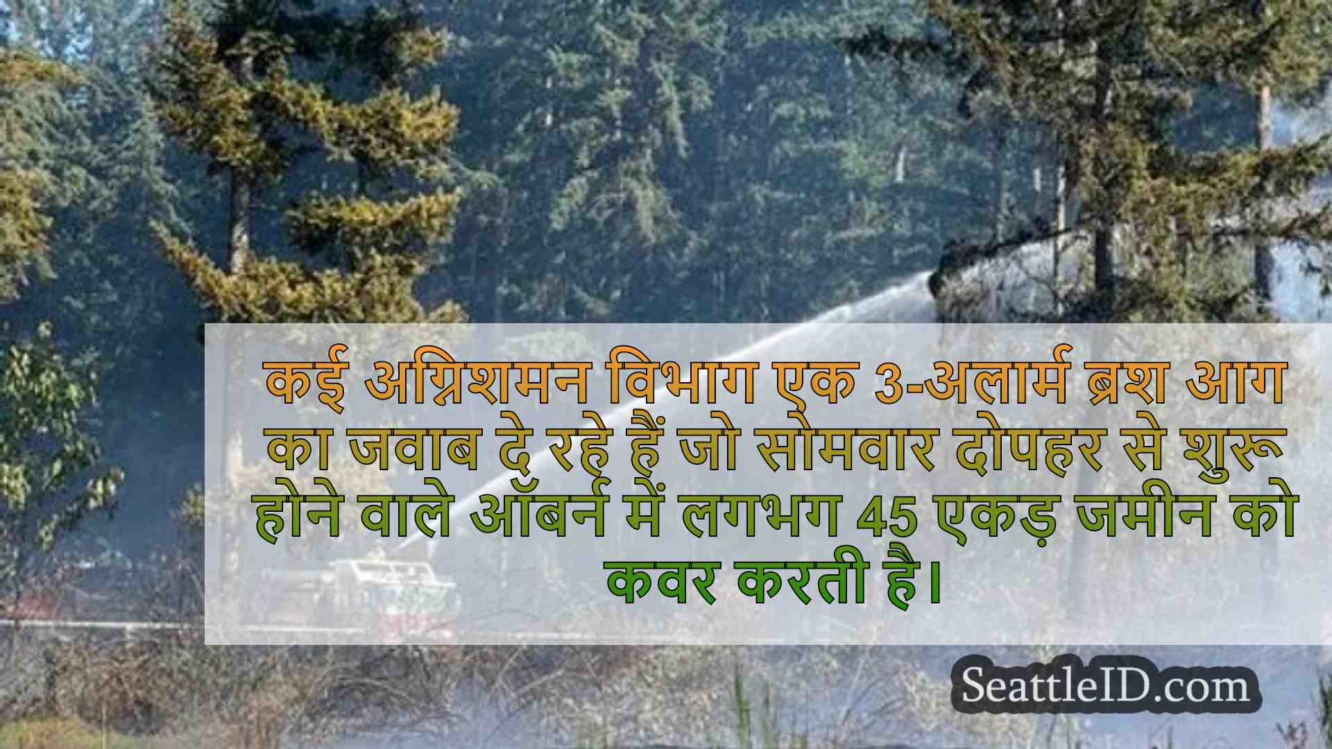 सिएटल समाचार SeattleID